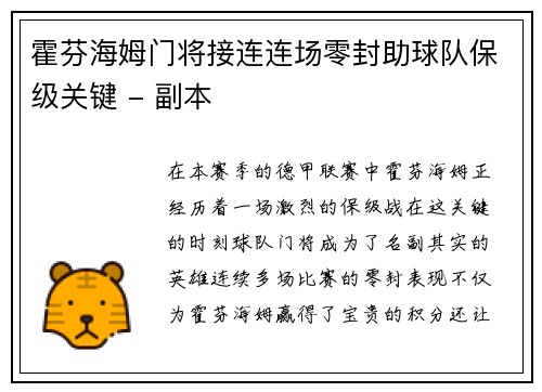 霍芬海姆门将接连连场零封助球队保级关键 - 副本